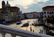Venezia by Ivan Aleksic
