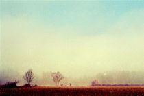 Fog by Ivan Aleksic
