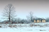 Winter by Ivan Aleksic