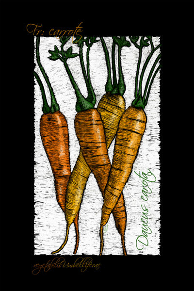 Vegetabilis3-carrots