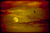 Full Moon, Red Sky by Marc Garrido Clotet