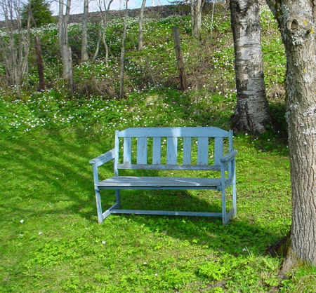 Blue-bench