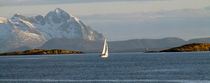 Sailing by Geir Ivar Ødegaard