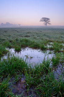 Waterlogged Field at Dawn. von Craig Joiner