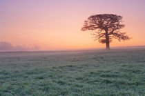 Farmland at Dawn by Craig Joiner