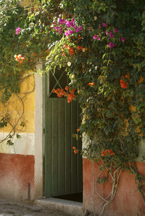 Flower Bedecked Doorway by John Mitchell