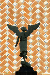 Puebla Angel by John Mitchell