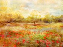 Landschaft mit Mohn by claudiag