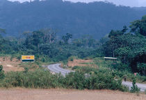 The road east of Songmbock, Cameroon by Palle Smith-Petersen