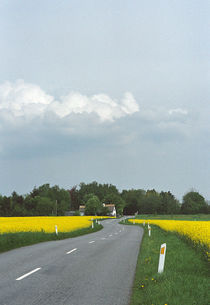 Country road a sunny summer day by Palle Smith-Petersen