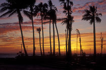 Baja Sunset von John Mitchell
