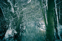Winter river von Roland Hemmpel