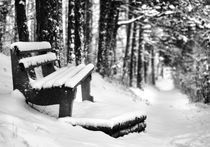 Winter Bench - Winterbank von Martin Krämer