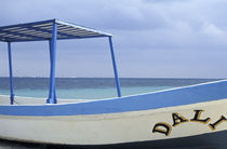 Dali Boat by John Mitchell