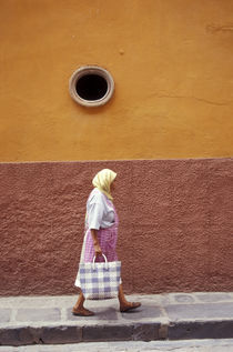 Woman Carrying Shopping Bag by John Mitchell