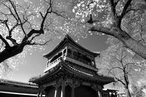 IR Temple von LEE chee wai