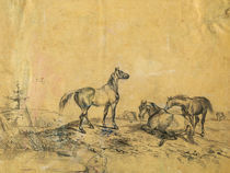 Pferde, Zeichnung by pahit