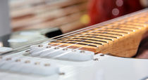 Guitar Fret by Buster Brown Photography