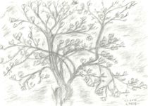 Magnolienbaum    - handsigniert - von Ursula Huber