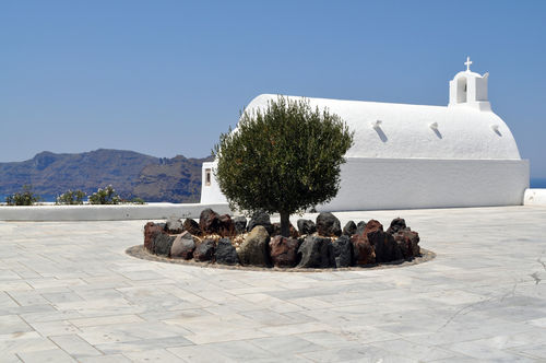 Greek-island-church-with-olive-tree