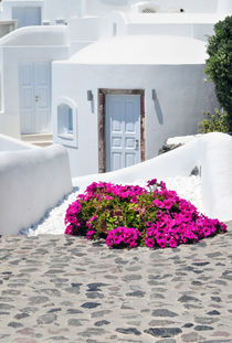 Whitewash and Flowers in Cyclades Greece von Katerina Vorvi