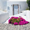 Whitewash-and-flowers-in-cyclades-greece