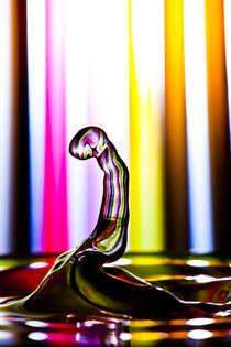 Rainbow Water Drop Snake by Marc Garrido Clotet