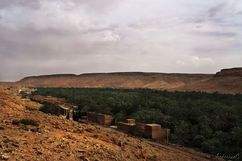 Valle-dello-ziz-marocco-2011