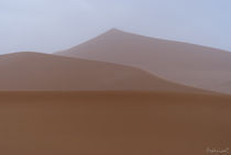 Dune by Federico C.
