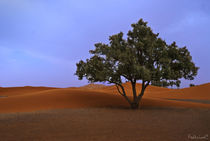 Albero nel deserto by Federico C.