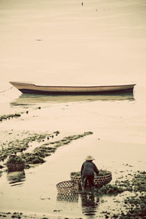 Seaweed Farming Boats von Darren Martin
