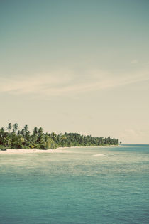 Maldivian Island 3B von Darren Martin
