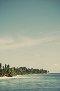 Maldivian Island 2 by Darren Martin