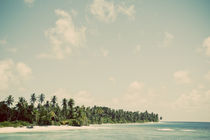 Maldivian Island 1B by Darren Martin