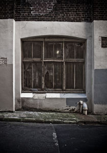 Urban Decay  by Darren Martin