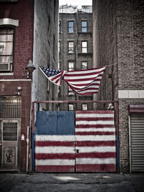 American Flag von Darren Martin