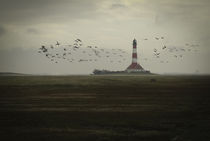 Westerhever by peter backens