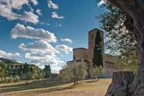 Sant' Antimo, Toscana by Michael Schickert