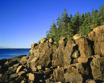 Rocky Coast, Acadia, Maine von John Greim
