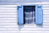 Blue Window, White Lace by John Greim