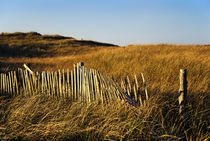 Weathered Dune Fence by John Greim