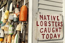 Fresh Lobster, Cape Cod, MA, USA von John Greim