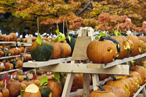 Pumpkin festival, New Hampshire, USA von John Greim