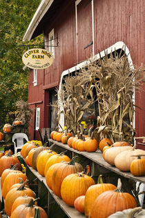 Autumn farm stand, Connecticut, USA by John Greim