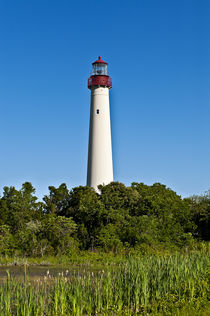 Cape May lighthouse, New  Jersey, USA by John Greim