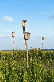 Birdhouses in salt marsh, Sandwich, Cape Cod, USA by John Greim
