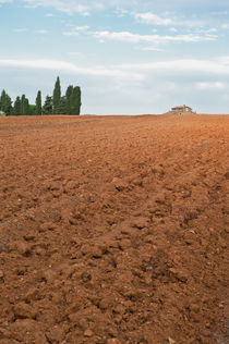 Red soil by Michael Schickert