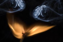 Burning match, close up by Sami Sarkis Photography