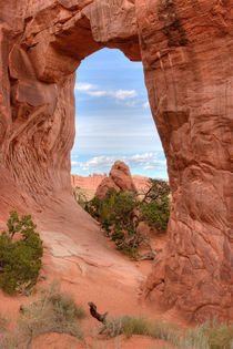 View through Pine Tree Arch. USA, Arches National Park by Irina Moskalev