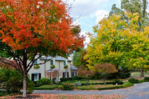 Autumn in an american suburb. USA, Kentucky by Irina Moskalev